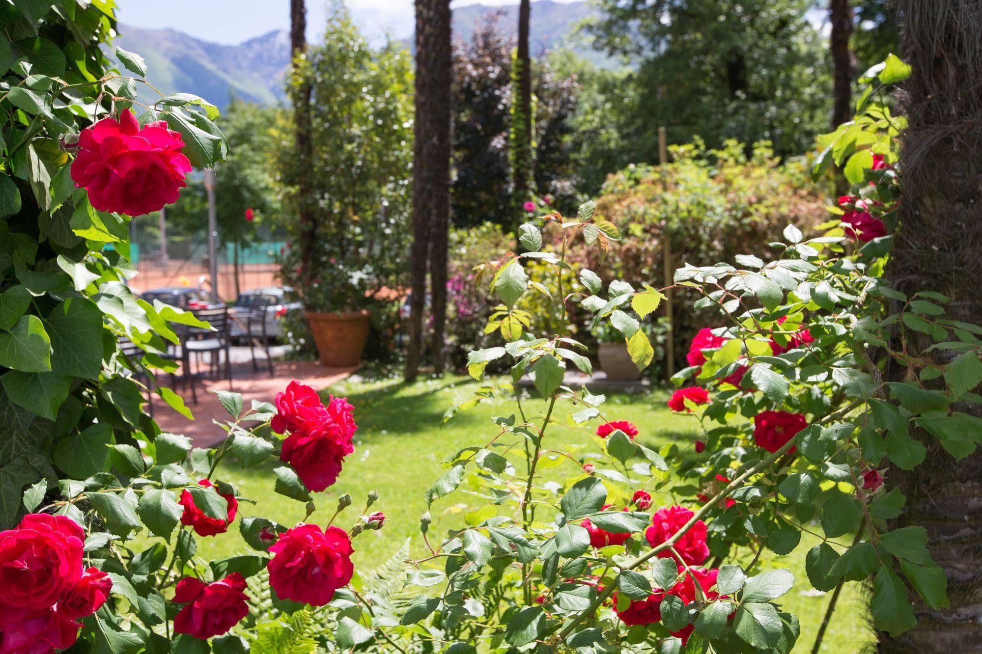 Aparthotel Al Lago Locarno Extérieur photo